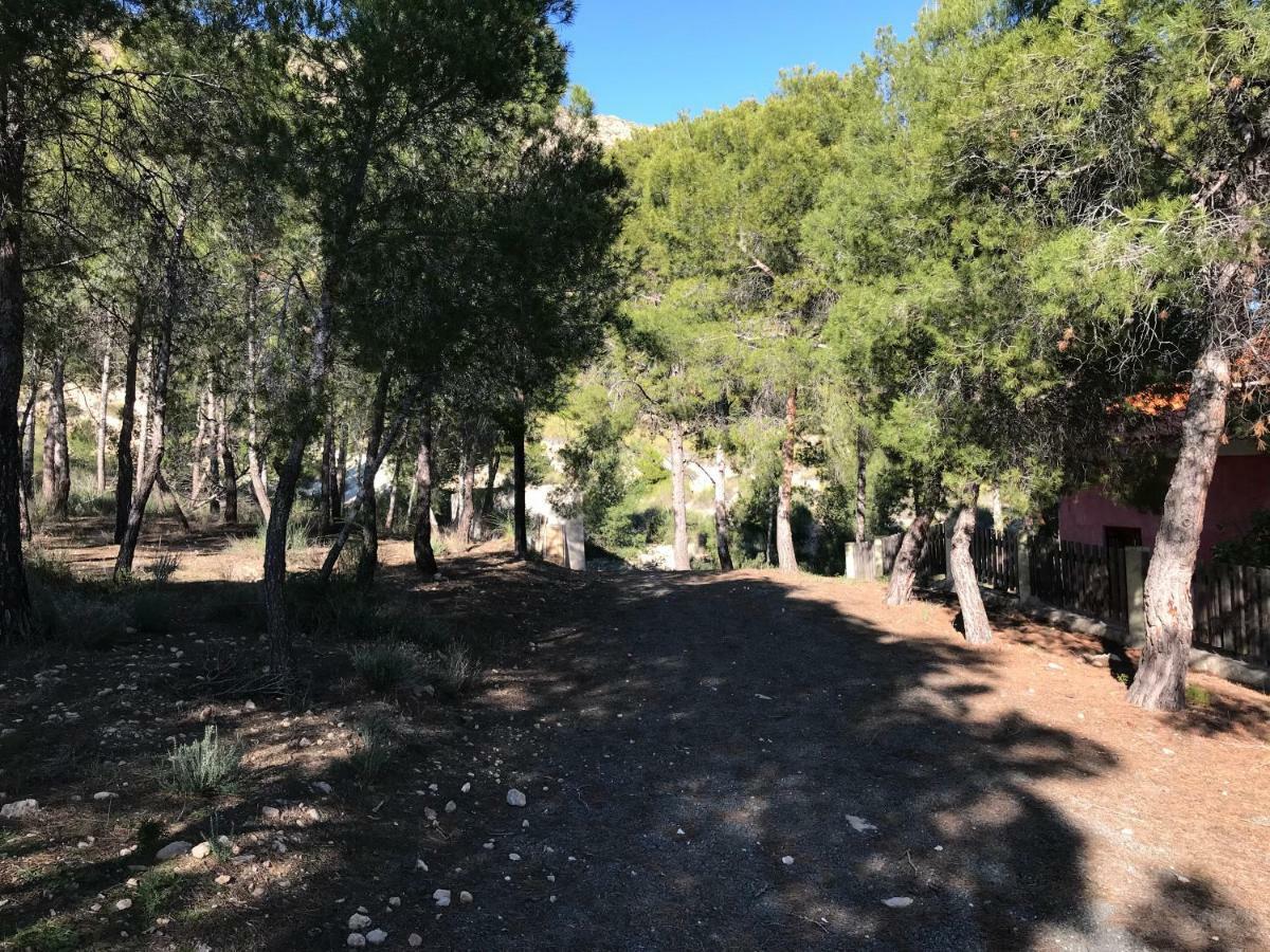 Casas Rurales "Paraje El Cajal" Охос Экстерьер фото