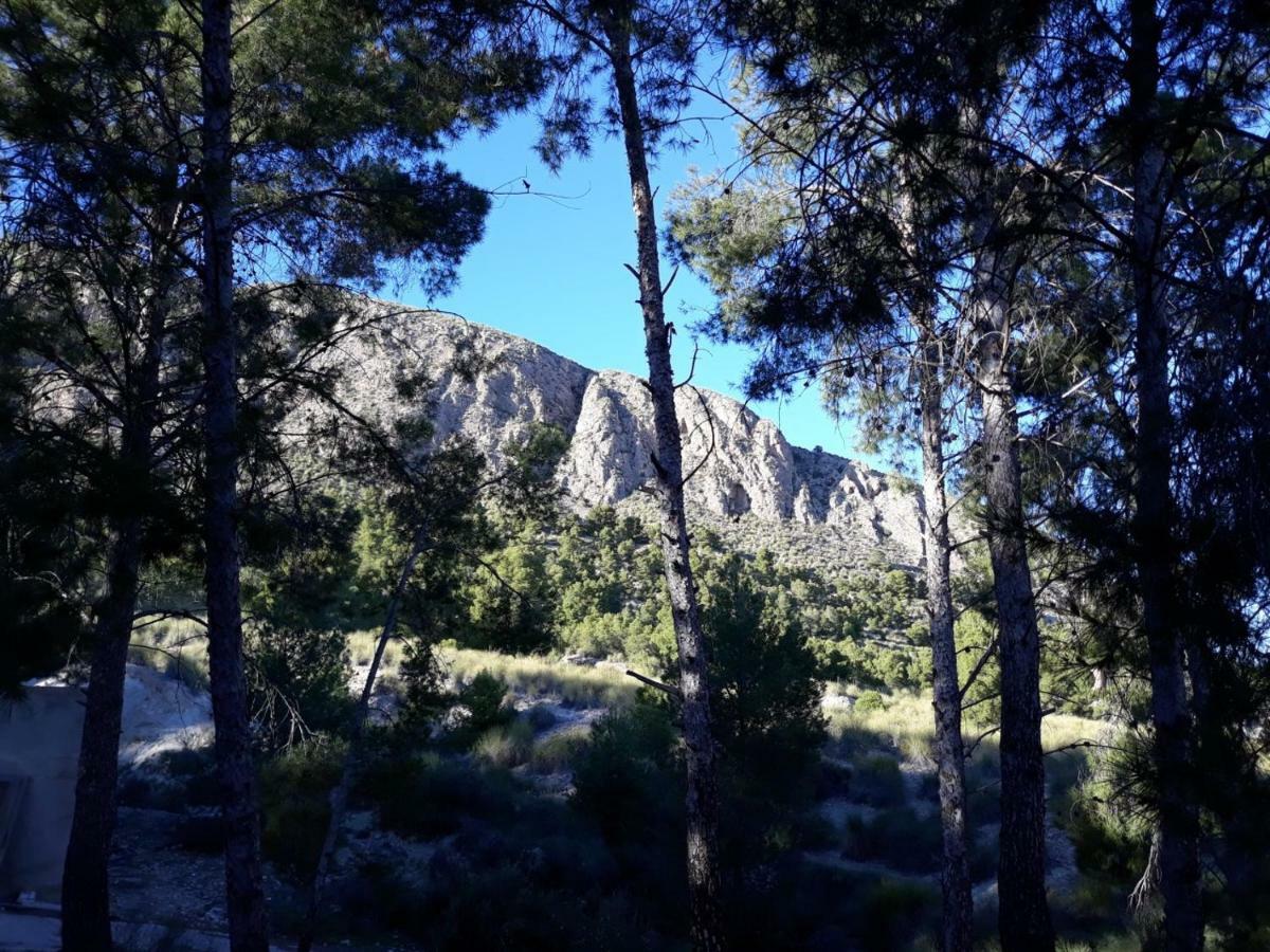 Casas Rurales "Paraje El Cajal" Охос Экстерьер фото